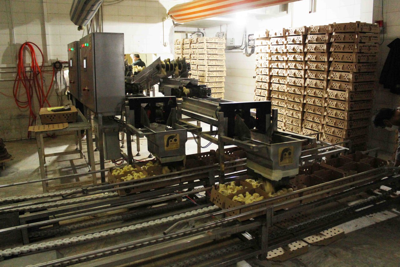 Making Parts related to Hatchery Industry